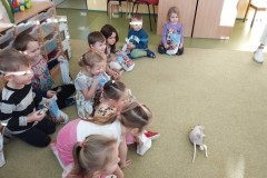 IMG_20241205_095027
