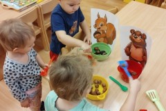 IMG_20251107_075333