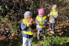 IMG_20251114_104238
