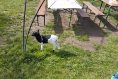 IMG_20240405_105539
