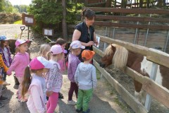 IMG_20250610_094103