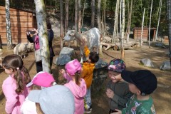IMG_20250610_094927
