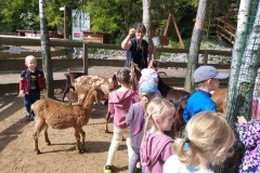 IMG_20250610_094931