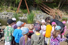 IMG_20250610_095352