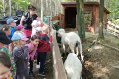 IMG_20250610_100155