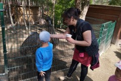 IMG_20250610_100624