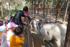 IMG_20250610_101035