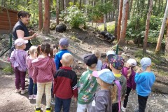 IMG_20250610_103045