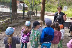 IMG_20250610_103857