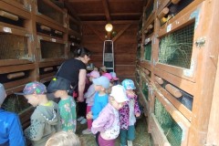 IMG_20250610_104840