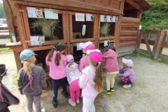 IMG_20250610_105202