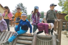 IMG_20250610_105309
