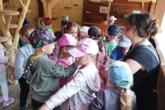 IMG_20250610_105642