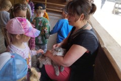 IMG_20250610_105701