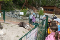 IMG_20250610_110133