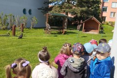 IMG_20250513_094421