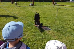 IMG_20250513_095713