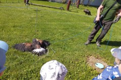 IMG_20250513_095728