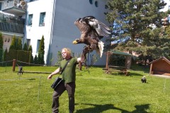 IMG_20250513_100008