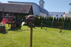 IMG_20250513_100013