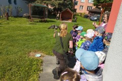 IMG_20250513_100643