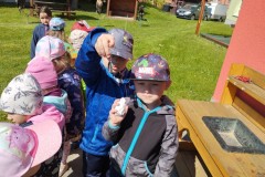 IMG_20250513_102340