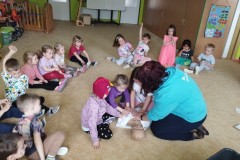 IMG_20250415_094812