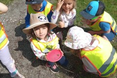 IMG_20250617_104600