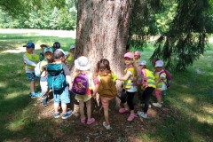 IMG_20250618_103652
