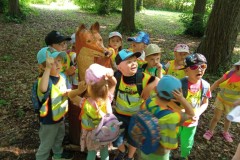 IMG_20250618_104200