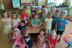 IMG_20250625_094053