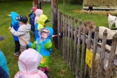 IMG_20260605_094743