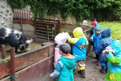 IMG_20260605_095920