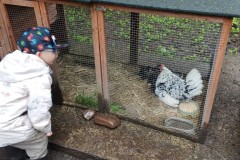 IMG_20260605_101727