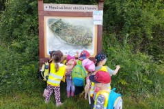 IMG_20260617_091806