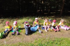 IMG_20260617_093851