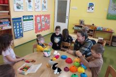 IMG_20240423_085549