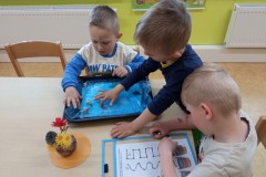 IMG_20250528_083903