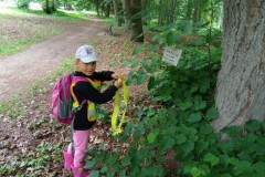 IMG_20260610_092031