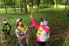 IMG_20260610_094711