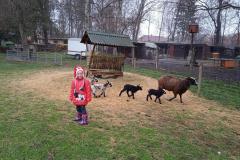 IMG_20220401_093255_1
