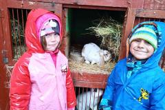 IMG_20220401_094018