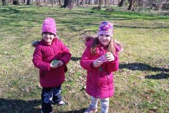 IMG_20250404_105444_1