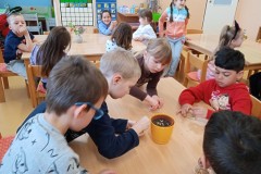 IMG_20250407_102315