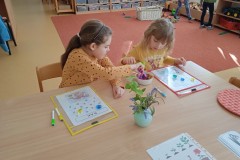 IMG_20250319_074702_1