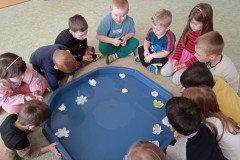 IMG_20250320_095552