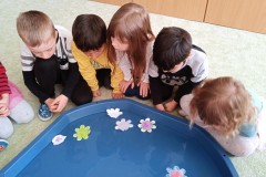 IMG_20250320_095616