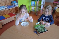 IMG_20250328_141315_1