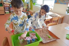 IMG_20250403_082327_1