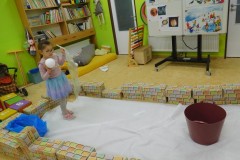 DSCN8089